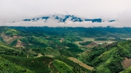 越南高地森林山脉景观图片