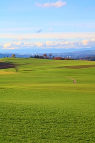 瑞士绿色草原风景图片