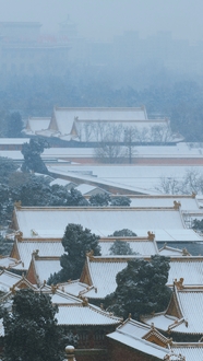 北京紫禁城雪景图片