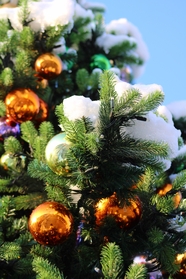 圣诞节圣诞树装饰球图片