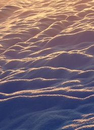 寒冷冬季雪地纹理图片