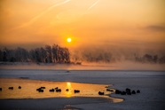 冬季黄昏河边树林雾气风光摄影图片