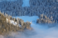 冬天森林云雾缭绕风景摄影图片