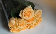 黄色香槟玫瑰花束图片