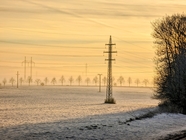 寒冬清晨电线杆电线图片