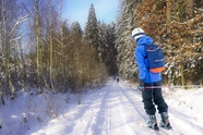 冬季树林雪地帅哥滑雪图片