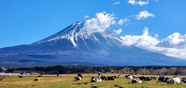 日本富士山旅行风光摄影图片