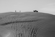 沙漠风景黑白摄影图片