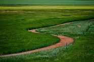 绿色草原蜿蜒小路图片