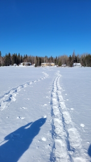冬天蓝色天空白色雪地风景图片
