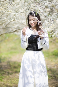 亚洲白色樱花林赏花美女图片