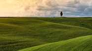 意大利托斯卡纳原野草地风景图片
