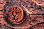 木头轮毂木纹素材图片