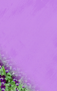 紫色花卉背景图片