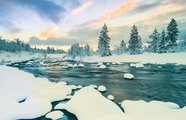 冬季树林冰河风景摄影图片