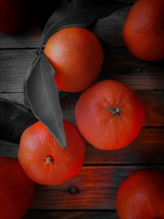 初冬橙色福橘图片