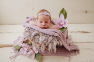 新生女宝宝艺术写真摄影图片