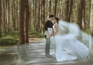 亚洲情侣树林婚纱写真摄影图片