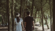 亚洲情侣树林手牵手散步图片