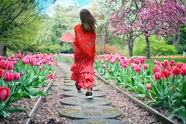 春天花园小路红裙美女背影写真图片