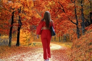 秋天红色枫树林红衣女郎背影图片