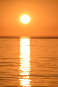 黄昏大海夕阳照射在海平面上图片