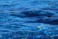 蓝色大海海水风光摄影图片