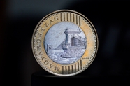 匈牙利纪念硬币摄影图片