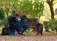 秋天街头艺人坐在公园拉小提琴图片