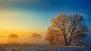 冬季唯美清晨日出美景摄影图片