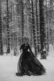 冬季树林雪景唯美婚纱黑白摄影图片