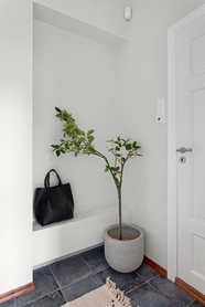白色家居室内一角盆栽植物摄影图片