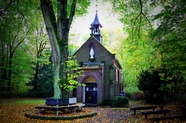 绿色树林特色教堂建筑摄影图片