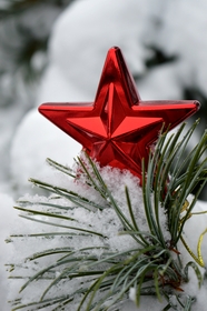 圣诞节红色五角星装饰摄影图片