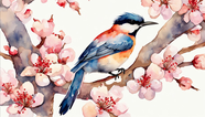 水彩风格花鸟画作品摄影图片