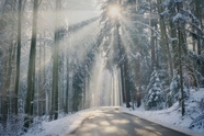 冬季森林一缕阳光摄影图片