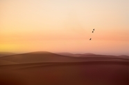 日暮黄昏沙漠风光摄影图片