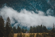 雾气朦胧自然森林风光摄影图片