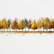 秋天桦树林唯美水彩画图片