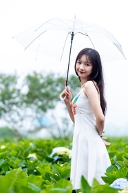 雨中撑伞白色连衣裙美女摄影图片