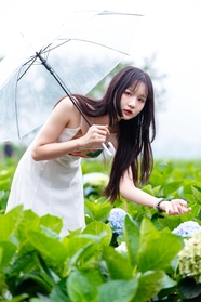 绿色菜园子撑伞美女写真图片