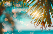 夏日阳光椰子树背景图片