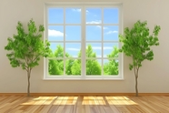 白色墙壁木地板小树苗窗户摄影图片