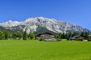 春天绿色草地阿尔卑斯山脉摄影图片