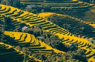 乡村龙脊梯田风景摄影图片