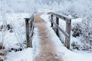 冬季木栈道雾凇雪景图片