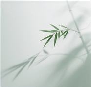 清新竹叶影子禅意背景图片
