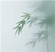 禅意竹影背景图片