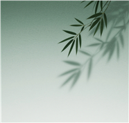 斑驳竹影禅意背景图片