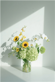 小清新光影艺术摄影插花图片